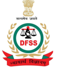 DFSL